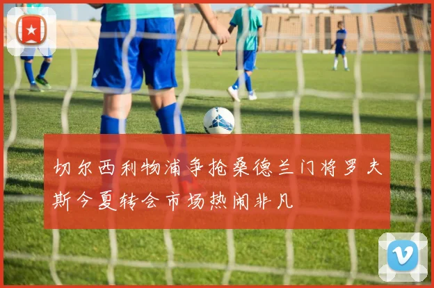 切尔西利物浦争抢桑德兰门将罗夫斯今夏转会市场热闹非凡