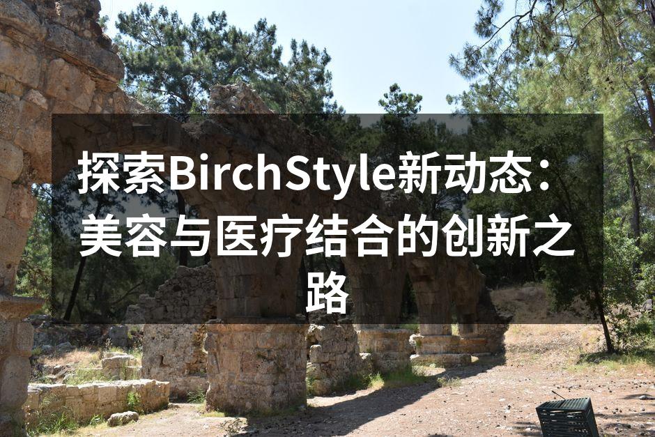 BirchStyle智能美容诊断系统界面